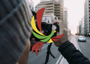 parrotmedia logo
